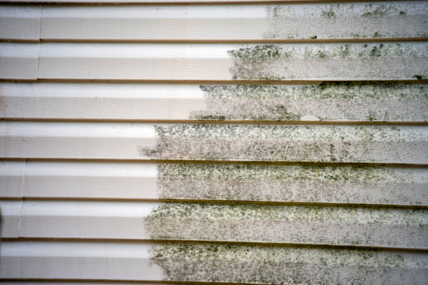 Best Demolition Debris Removal  in Unionville, MO