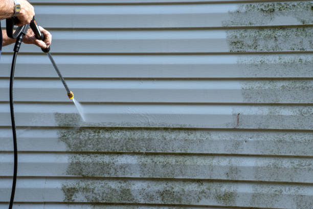 Best Shed Removal  in Unionville, MO